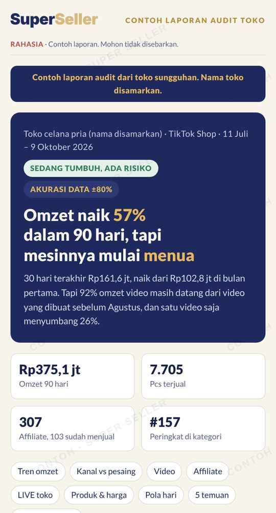 AI Store Audit sample: summary